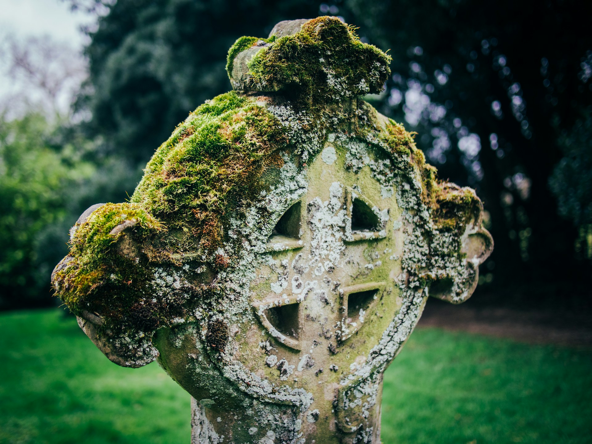Moss-covered Celtic cross standing in a green field, symbolizing enduring cultural connection and heritage.