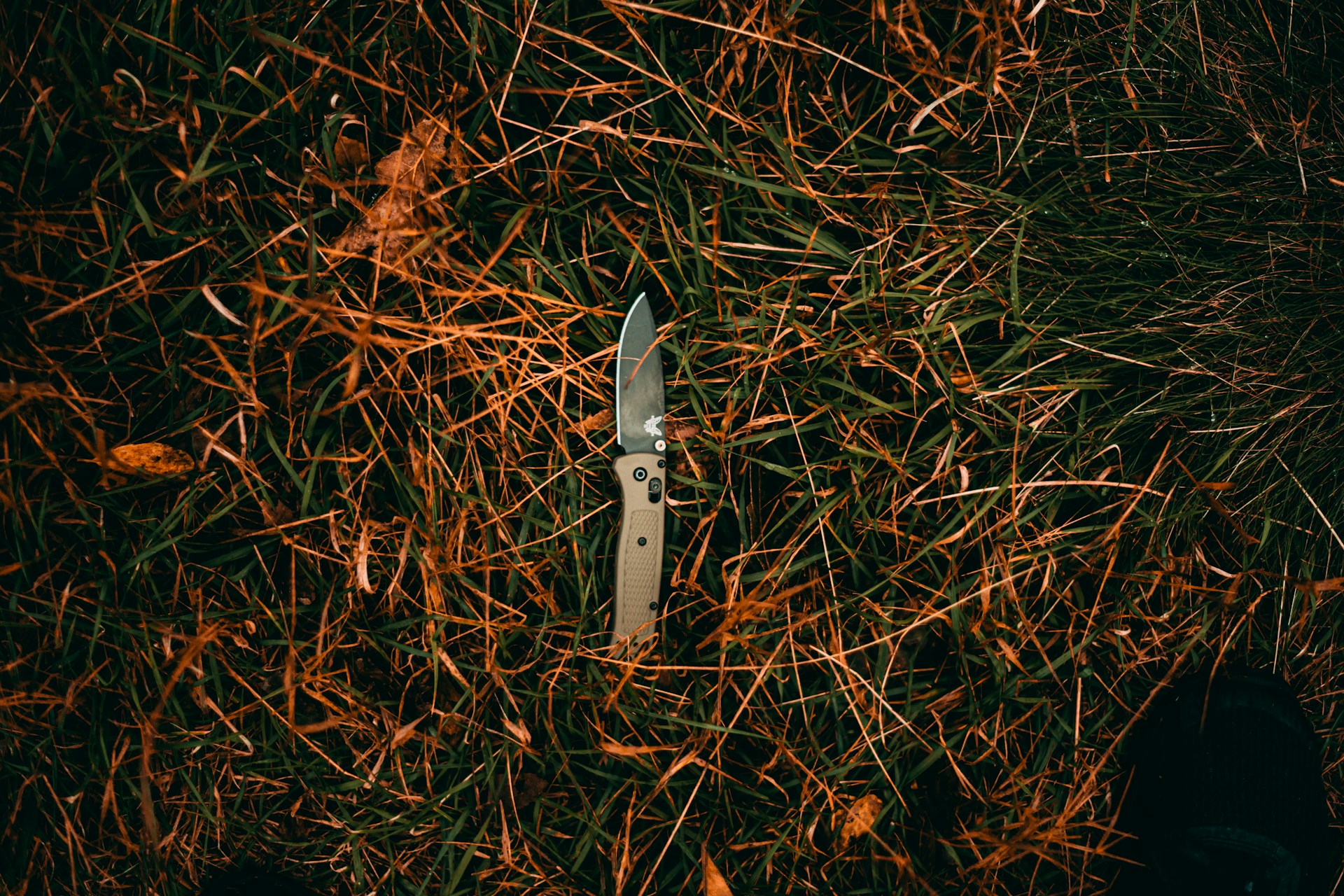 A folding pocketknife lying in grass and dried autumn leaves, its blade partially open and glinting softly, symbolizing a moment of tension and release.