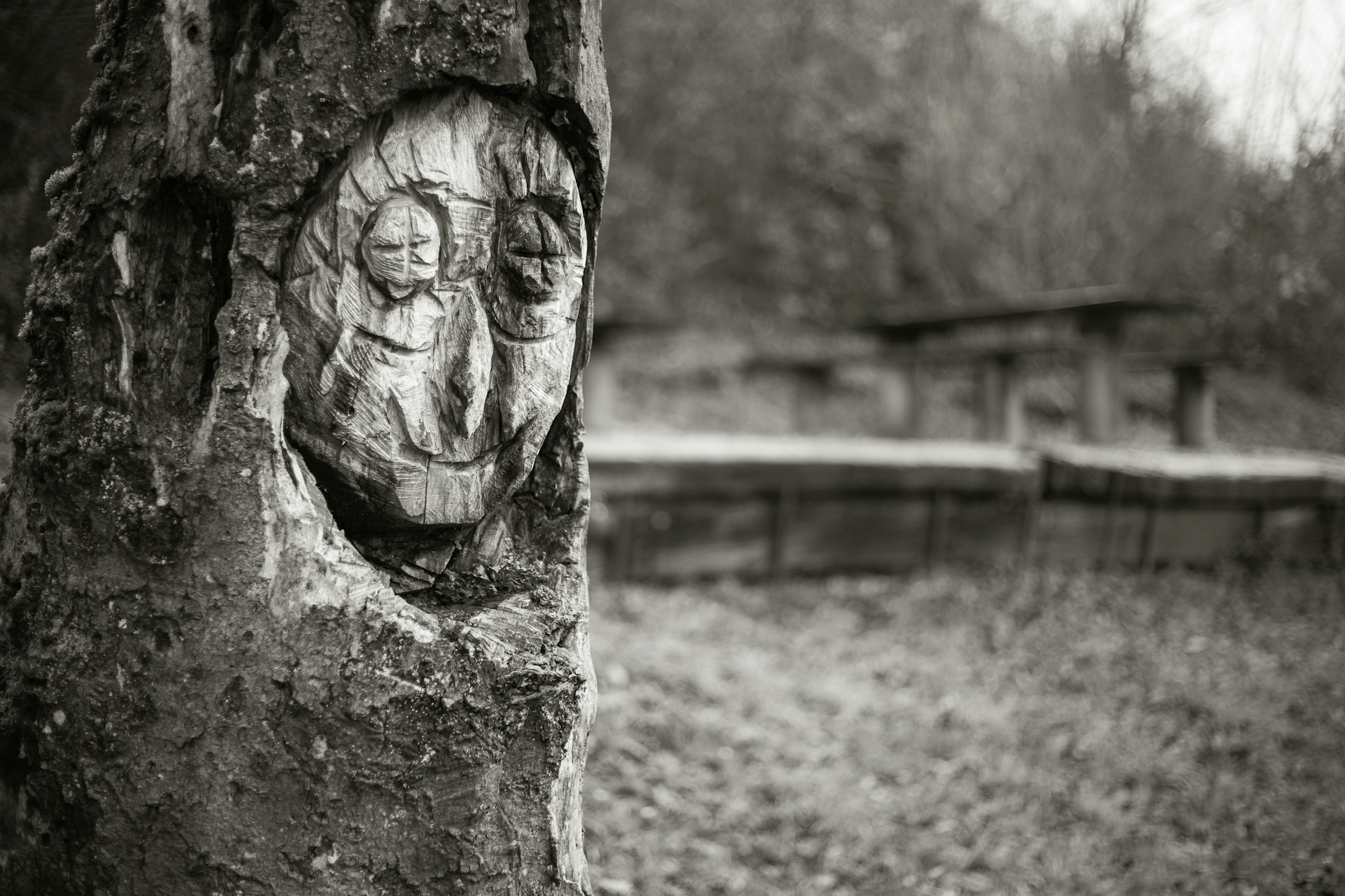 Close-up of a tree trunk carved with haunting, primitive human faces—suggesting memory, myth, or warning in a forest clearing.